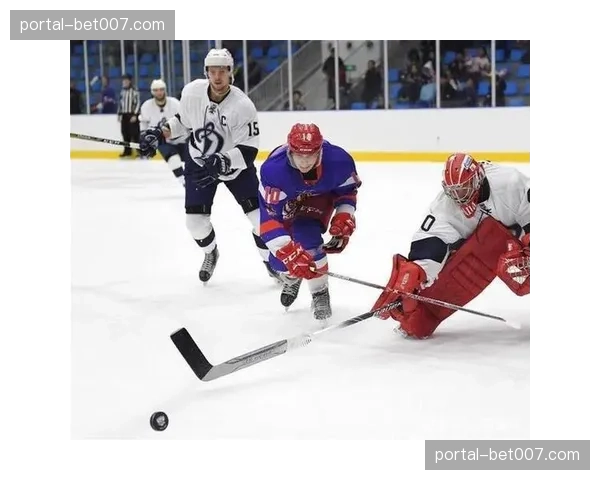 瑞士冰球协会提交申办2029年男子冰球世锦赛意向书